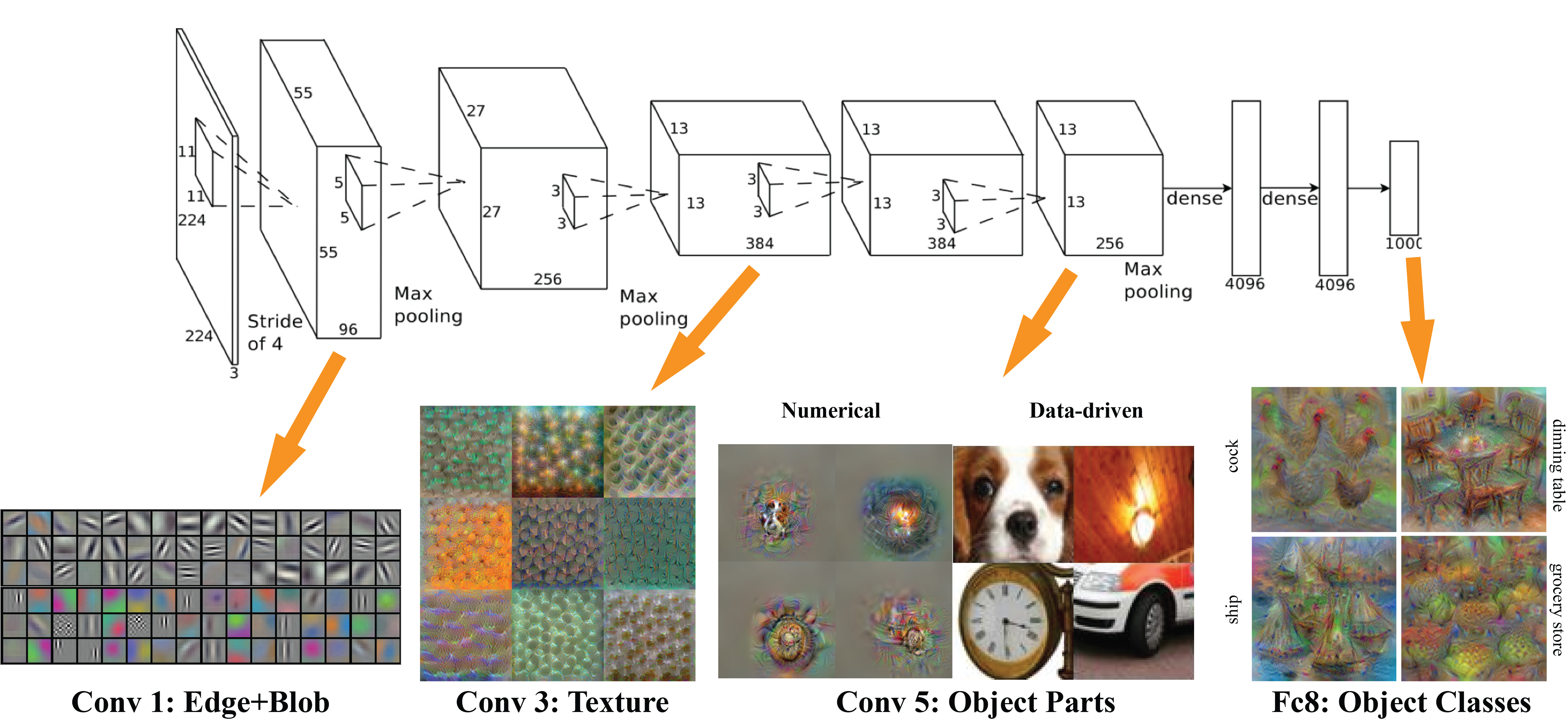 Features Learned by Deep CNN Layers