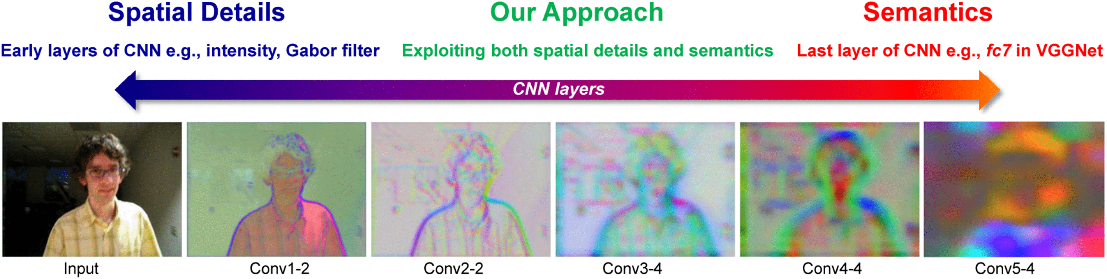 Features Learned by Early CNN Layers
