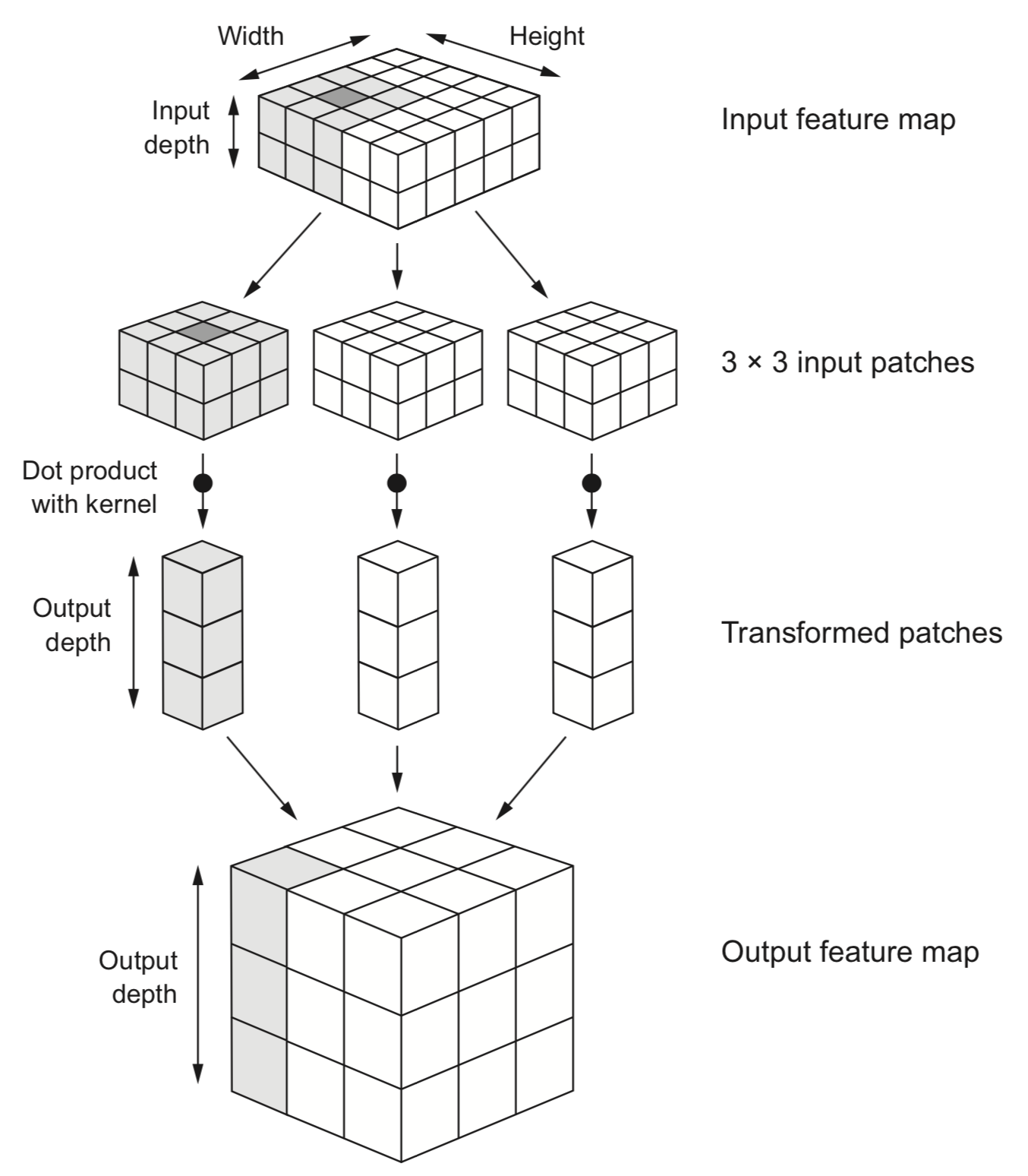 Convolutional Filter Operation