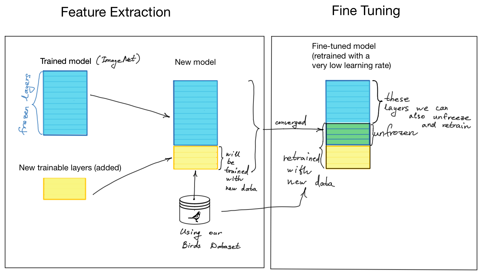 Fine-Tuning with Transfer Learning