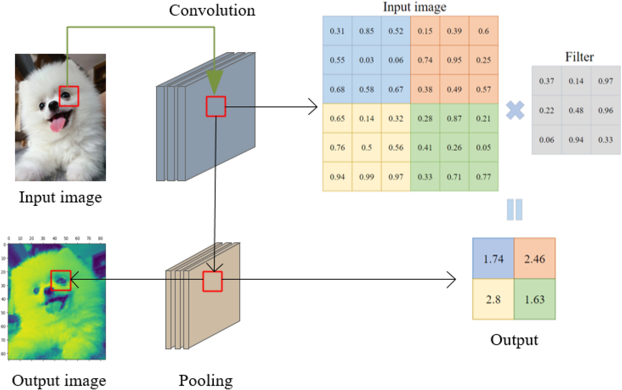 Input Image and Resulting Feature Maps