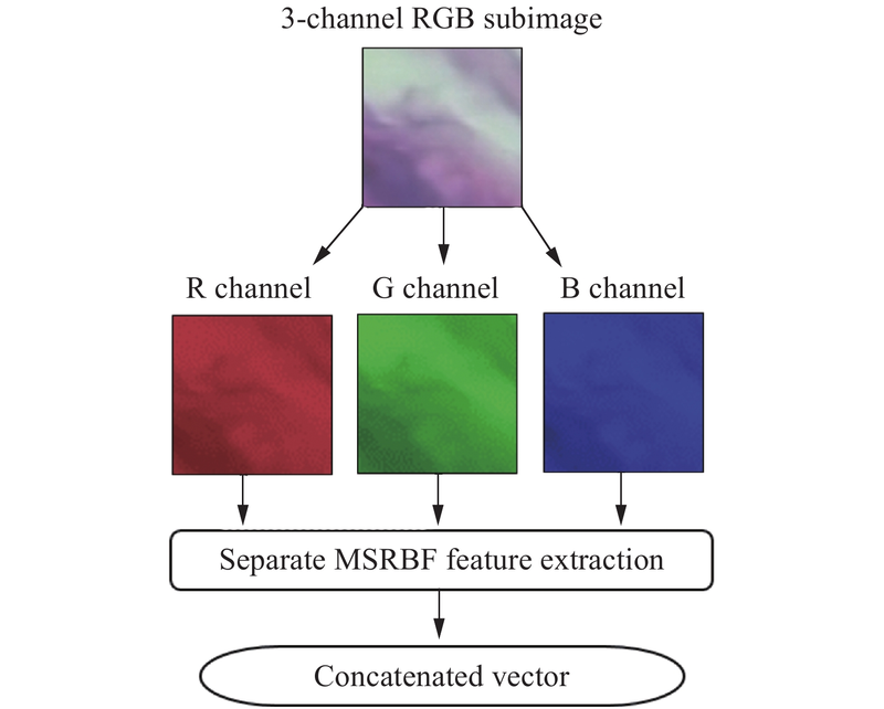 RGB Image Decomposed into Red, Green, and Blue Channels