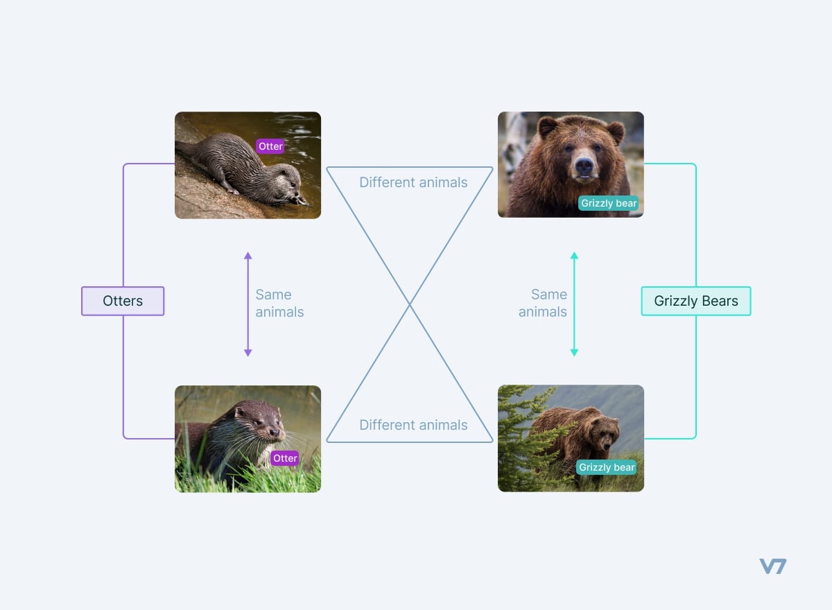 Self-Supervised Learning Concept