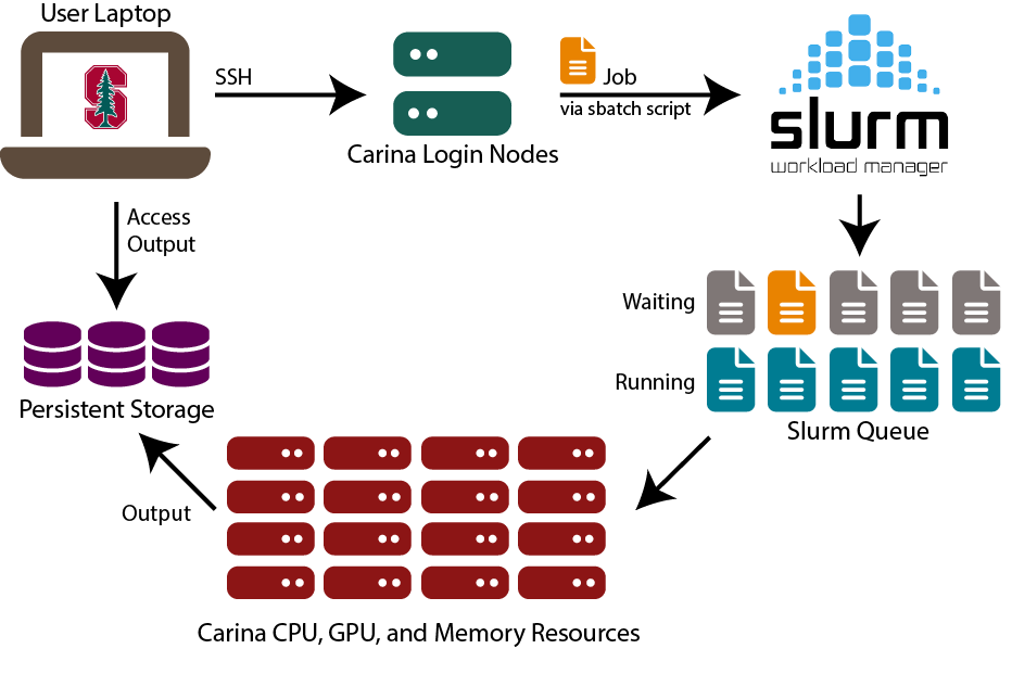 Your Job in the SLURM Queue